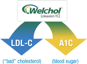 Welchol® (colesevelam HCI) lowering LDL-C and A1C